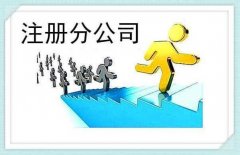 成都分公司注冊需要什么材料？ 
