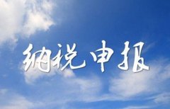 小規模納稅人在進(jìn)行納稅申報時(shí)，有哪些值得注意的事項？ 
