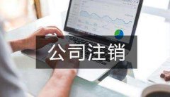 注冊的分公司如何注銷(xiāo)，分公司注銷(xiāo)需要總公司提供什么? 